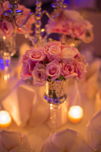 View More: http://traciburkephotography.pass.us/mikolaswedding