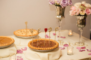 View More: http://traciburkephotography.pass.us/mikolaswedding