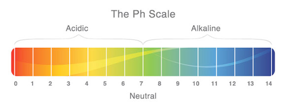 AquariumPHScale