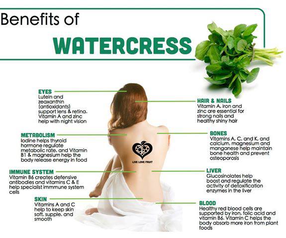 Watercress