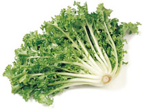 chicory-greens