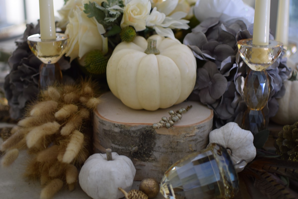 dsc_0100
