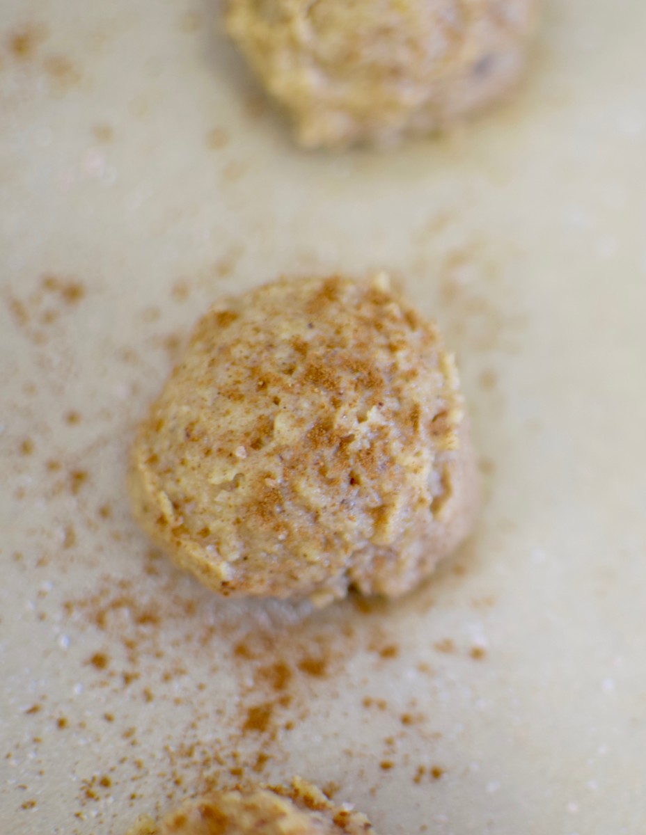 Protein Energy Bites